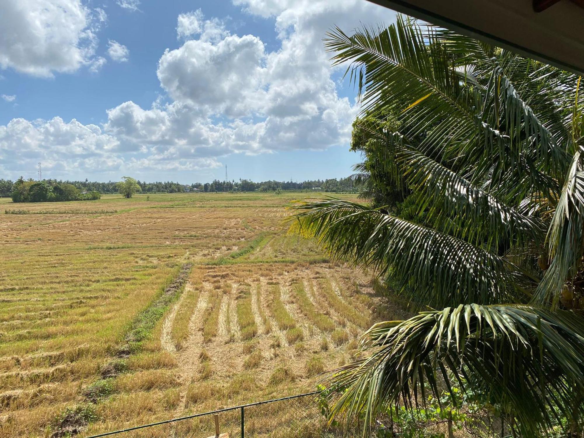 Lavender Home Yala Safari ทิซซามาฮารามา ภายนอก รูปภาพ