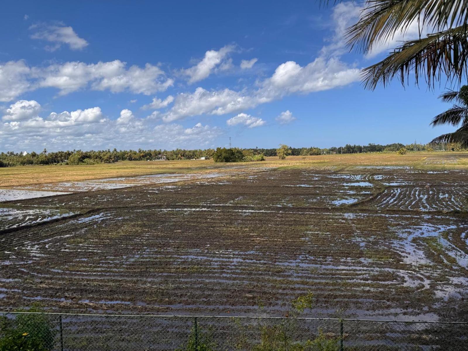 Lavender Home Yala Safari ทิซซามาฮารามา ภายนอก รูปภาพ