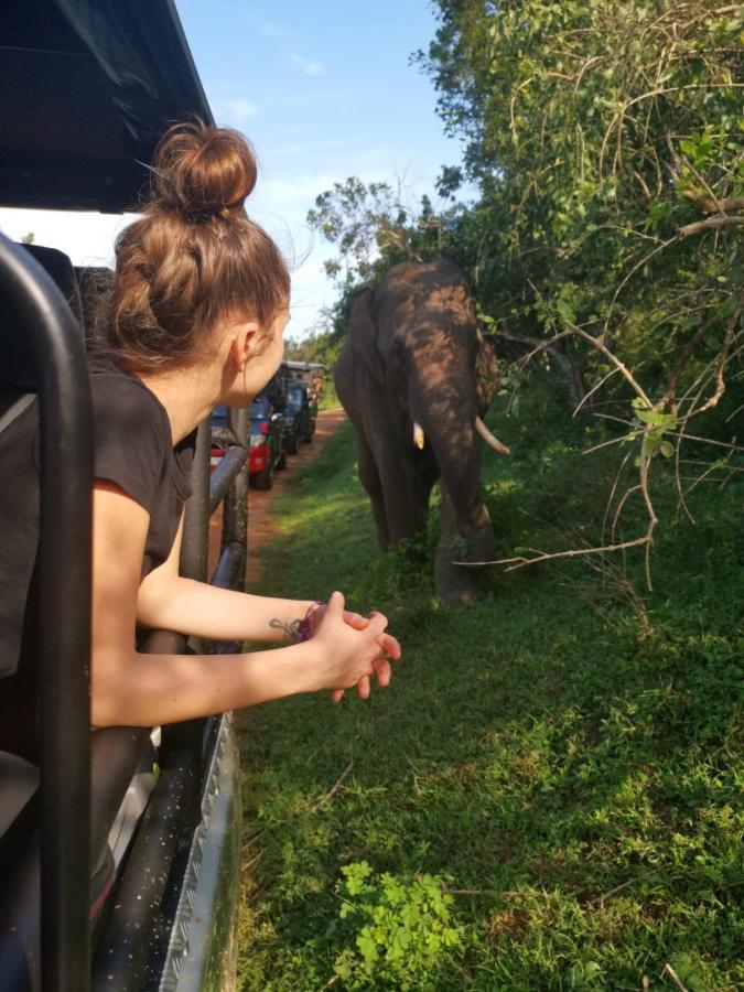 Lavender Home Yala Safari ทิซซามาฮารามา ภายนอก รูปภาพ