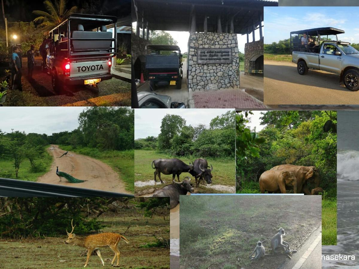 Lavender Home Yala Safari ทิซซามาฮารามา ภายนอก รูปภาพ